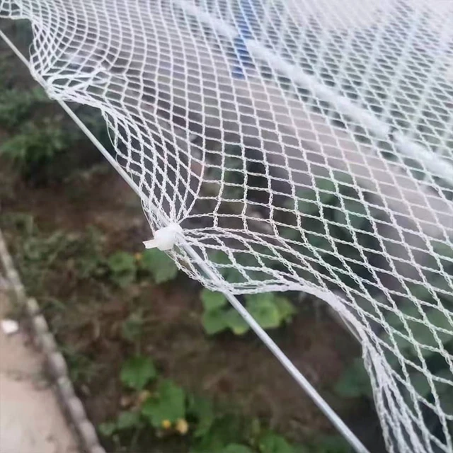 Alt view image 2 of 7 - 0.5mm Mesh Anti-Bird Net: Precision Protection for Grape Vines