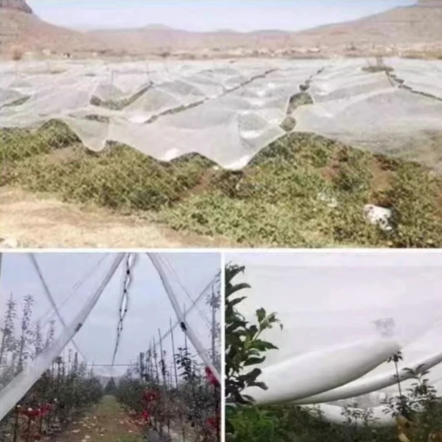 Alt view image 5 of 7 - 0.5mm Mesh Anti-Bird Net: Precision Protection for Grape Vines