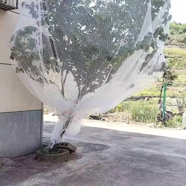 Alt view image 6 of 7 - 0.5mm Mesh Anti-Bird Net: Precision Protection for Grape Vines