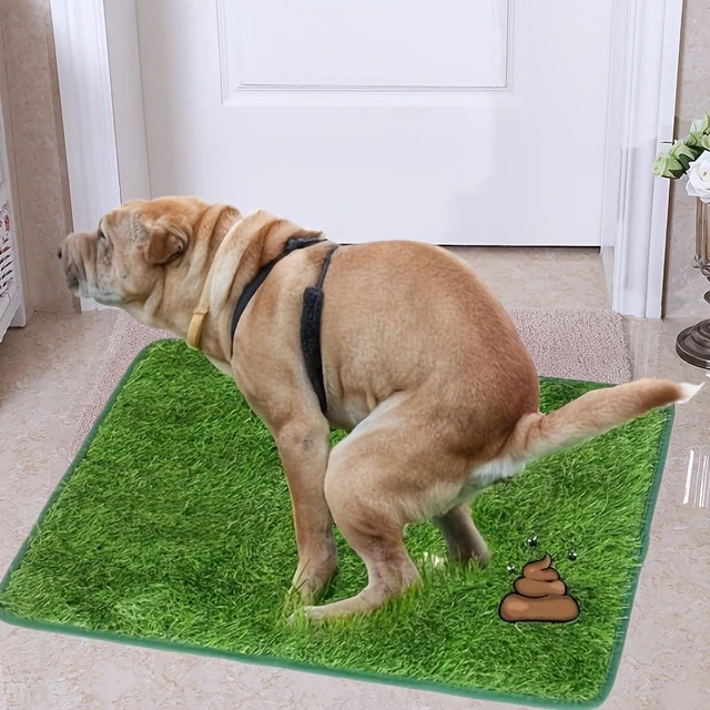 Main image of Ultimate Washable Dog Grass Mat - Reusable, Odor-Control Artificial Lawn for Pet Training, Easy-Clean Pee Pad Non-Slip Backing