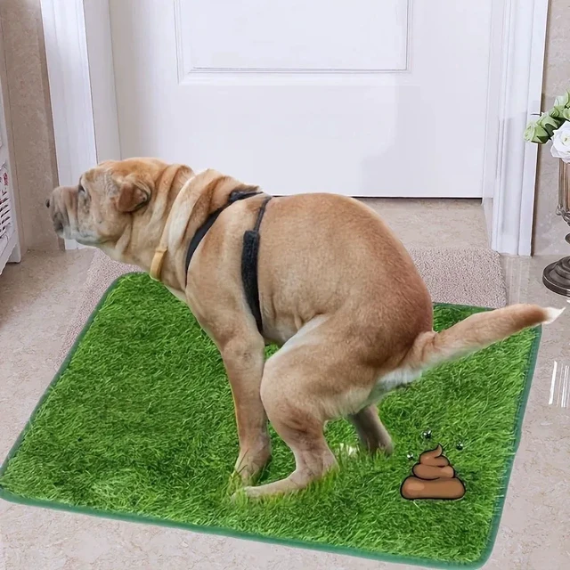 Alt view image 2 of 3 - Ultimate Washable Dog Grass Mat - Reusable, Odor-Control Artificial Lawn for Pet Training, Easy-Clean Pee Pad Non-Slip Backing