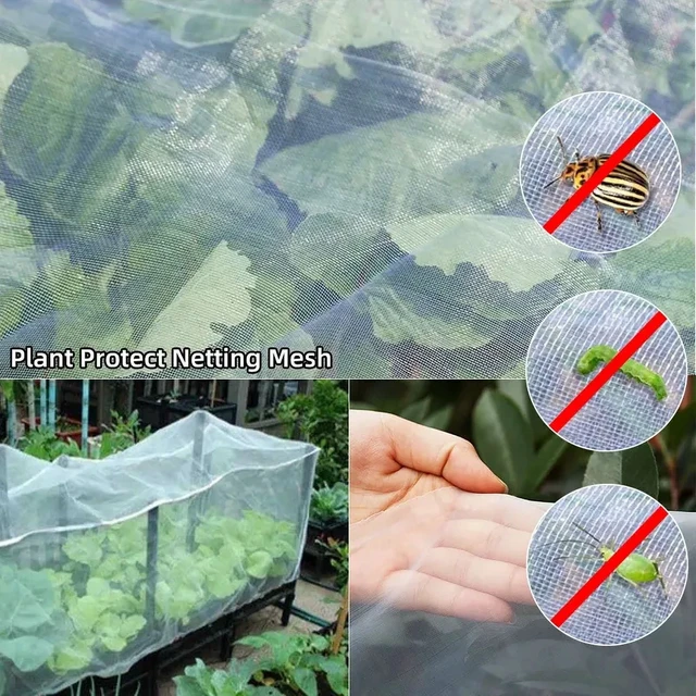 Alt view image 3 of 7 - Garden Plant Insect Netting Vegetable, Flower and Fruit Care Cover Netting Pest Control Bird-proof 60 Mesh Protective Netting