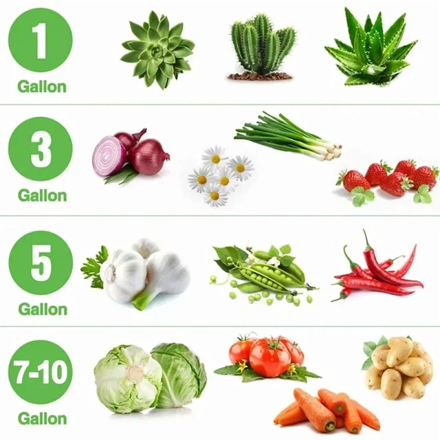 Alt view image 6 of 7 - Fabric Plant Pots Grow Bags 3/5/7/10 Gallon Gardening Vegetable Tomato Strawberry Growing Planter Garden Potato Planting Pots