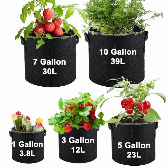 Alt view image 3 of 7 - Fabric Plant Pots Grow Bags 3/5/7/10 Gallon Gardening Vegetable Tomato Strawberry Growing Planter Garden Potato Planting Pots