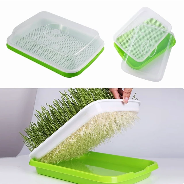 Alt view image 2 of 7 - Germination Tray Tray Seed Germination Tray Seedling Tray Wheatgrass Seed Planting Soilless Cultivation Planting Pot