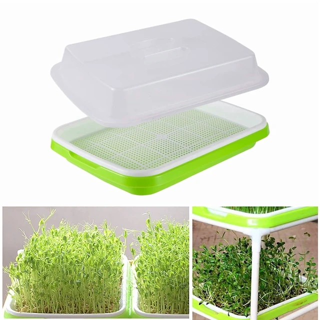 Alt view image 3 of 7 - Germination Tray Tray Seed Germination Tray Seedling Tray Wheatgrass Seed Planting Soilless Cultivation Planting Pot