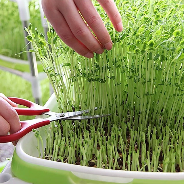 Alt view image 4 of 7 - Germination Tray Tray Seed Germination Tray Seedling Tray Wheatgrass Seed Planting Soilless Cultivation Planting Pot