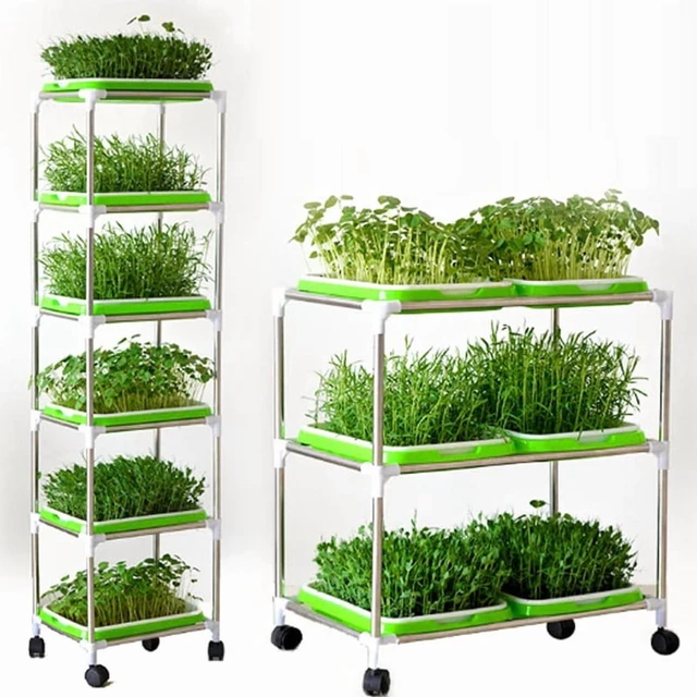 Alt view image 5 of 7 - Germination Tray Tray Seed Germination Tray Seedling Tray Wheatgrass Seed Planting Soilless Cultivation Planting Pot
