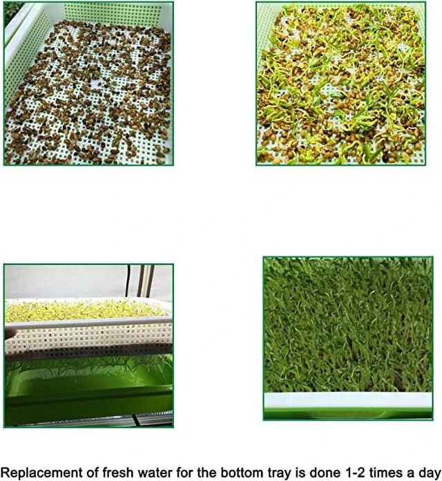 Alt view image 7 of 7 - Germination Tray Tray Seed Germination Tray Seedling Tray Wheatgrass Seed Planting Soilless Cultivation Planting Pot