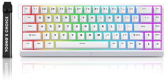 Main image of ZMX MCHOSE ACE 68 Magnetic Switch RGB Gaming Keyboard,60% Hall Effect Rapid Trigger Adjustable Actuation Hot Swappable Wired Mechanical Keyboard 8K Hz Polling Rate for PC/Mac Gamer (White)