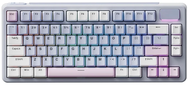 Main image of Rapoo V700DIY-75 Wireless Mechanical Keyboard, BT5.0 + 2.4GHz, Hot Swappable Custom Gaming Keyboard, Speed Silver Linear Switch, 16.8M Per-Key RGB, Gasket Mount, Creamy Sound, Full NKRO Anti-Ghosting