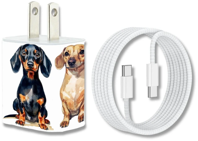 Main image of Dog Breed Phone Charger Set, 35W GaN Fast Charger Block with USB-C & USB-A, Includes USB C to C 6FT Cable, Dual Port Wall Adapter for iPhone & Android, for Dog Lovers (Dachshund)