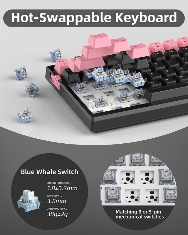 Alt view image 5 of 7 - SKY81 75% Wireless Gasket Mechanical Gaming Keyboard, Hot Swappable RGB Custom Creamy Keyboard w/ 5-Layer Padding, BT/2.4G/USB-C, Knob Control, NKRO for Win/Mac (Dreamy Sky, Violet Switch)
