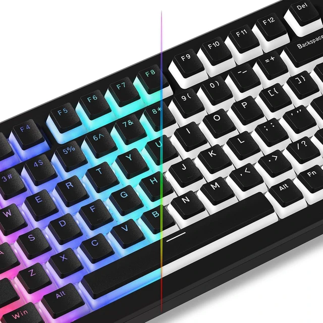 Main image of Shine Through PBT Keycaps, Pudding White Keyboard Keycaps | OEM Profile Custom Keycaps 75 Percent 129-key Set for 60% 65% 75% 100% Cherry Gateron MX Mechanical Keyboard-White Black