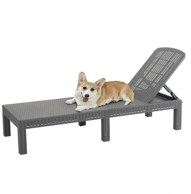 Main image of Outdoor Chaise Lounge,Resin Pool Lounge Chair Waterproof Recliner,Gray