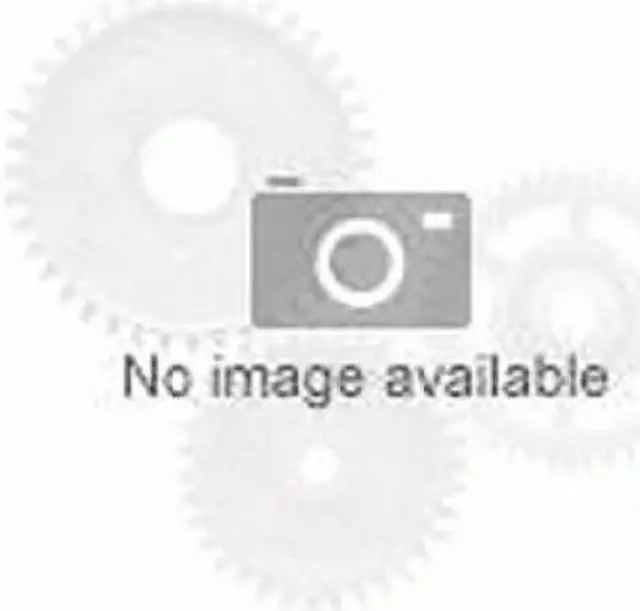 Main image of Lenovo Windows Server 2022 - License - 1 User CAL