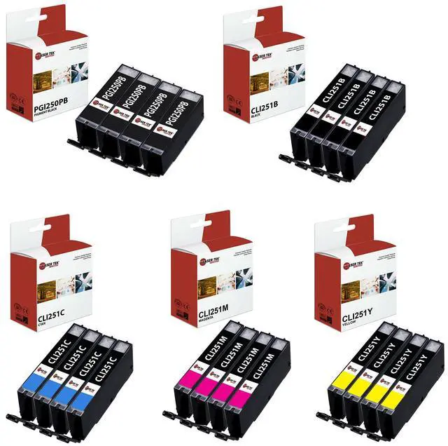 Main image of Laser Tek Services Compatible High Yield Ink Cartridge Replacement for Canon PGI-250 CLI-251 Works with Canon Pixma MG5420 MG6320, MX922 Printers (Pigment Black, Black, Cyan, Magenta, Yellow, 20 Pack)