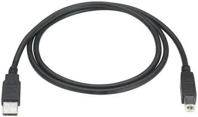 Main image of Black Box USB05-0010 USB 2.0 Cable - Type A Male to Type B Male, Black, 10 ft.
