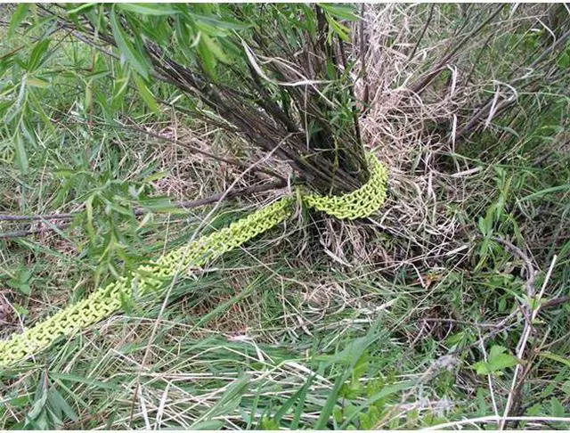 Alt view image 3 of 9 - BRUSH GRUBBER BG-19 Shrub Clump Grubber,HD