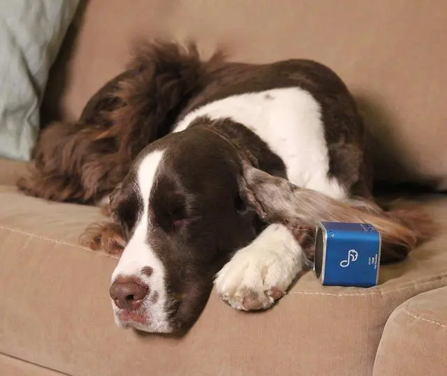 Alt view image 4 of 6 - Pet Tunes Bluetooth Speaker Preloaded with Calming Canine Music