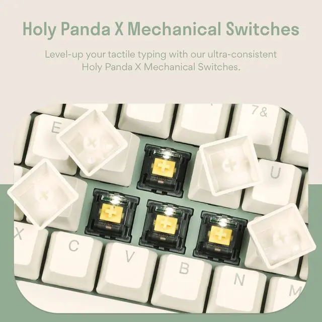 Alt view image 4 of 7 - DROP Expression Series Shinai TKL Mechanical Keyboard - Holy Panda X Tactile Switches - PBT Double-Shot Keycaps - LED Backlight - Green