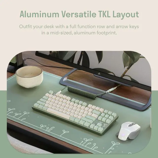 Alt view image 5 of 7 - DROP Expression Series Shinai TKL Mechanical Keyboard - Holy Panda X Tactile Switches - PBT Double-Shot Keycaps - LED Backlight - Green