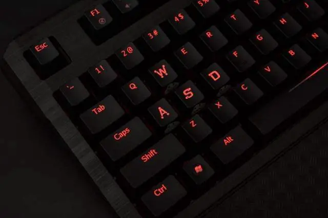 Alt view image 7 of 7 - Replacement WASD Arrow Keycaps UV Coating Backlit Double Shot Key Cap OEM Profile for All MX Mechanical Keyboard (8 Keys WASD+Arrow)