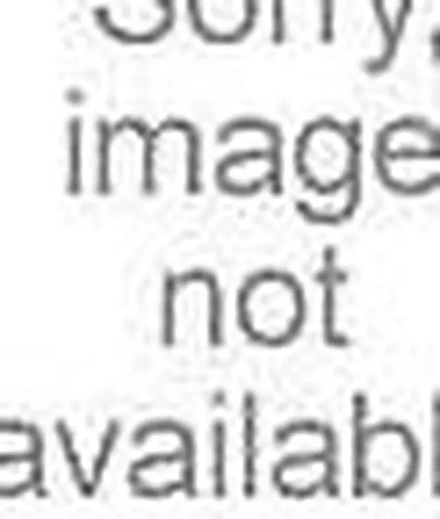 Alt view image 6 of 8 - Iogear Accu-Tip Stylus for Tablets and Smartphones
