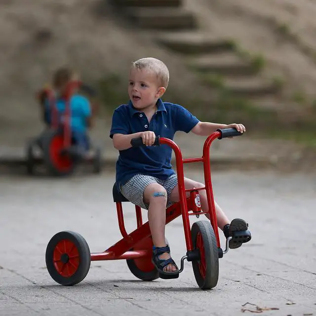 Alt view image 13 of 13 - WINTHER WIN452 Viking Tricycle - Large (Age 4-8)