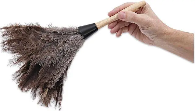 Alt view image 18 of 19 - Boardwalk UNS14FD Professional Ostrich Feather Duster, Gray, 14 Inch , Wood Handle