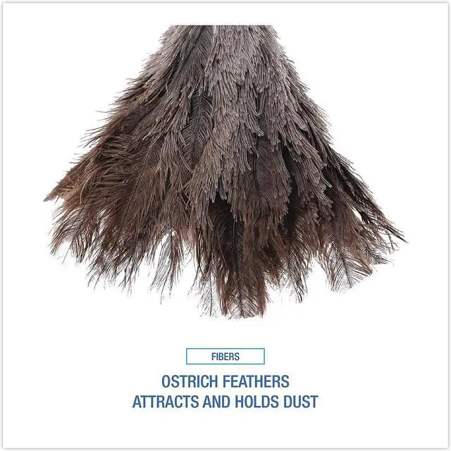 Alt view image 16 of 19 - Boardwalk UNS14FD Professional Ostrich Feather Duster, Gray, 14 Inch , Wood Handle