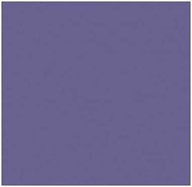 Pearlescent Purple Cardstock - 12 x 12 inch - 105Lb Cover - 10 Sheets -  Clear Path Paper