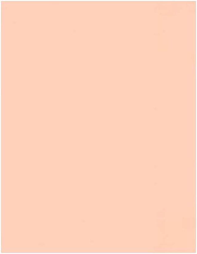 LUX Colored Paper 32 lbs. 8.5 x 11 Blush 250 Sheets/Pack (81211-P-114-250)