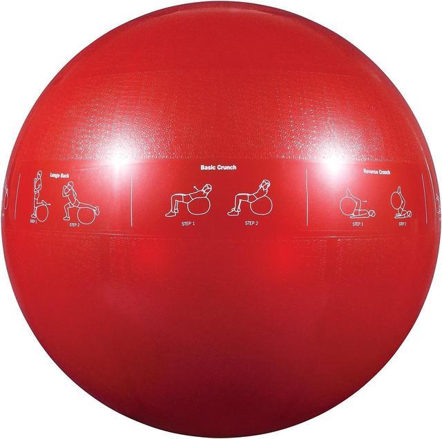 Gofit GF 65PRO Professional Stability 65 Cm Ball And Brook Benten