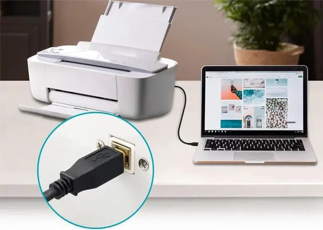 Alt view image 6 of 6 - Monoprice USB Type-A to USB Type-B 2.0 Cable - 10 Feet - Black (5 Pack) 28/24AWG, Gold Plated Connectors, For Printers, Scanners, and other Peripherals