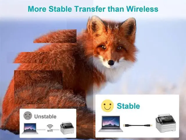 Alt view image 5 of 6 - Monoprice USB Type-A to USB Type-B 2.0 Cable - 10 Feet - Black (5 Pack) 28/24AWG, Gold Plated Connectors, For Printers, Scanners, and other Peripherals