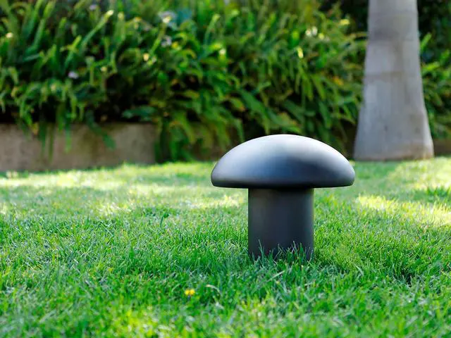 Alt view image 5 of 5 - Monoprice Outdoor Burial 8-inch Subwoofer with Dual Voice Coil (each) - Sycamore Series