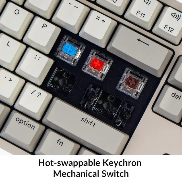 Alt view image 4 of 7 - Keychron C2 Full Size Hot-swappable Wired Mechanical Keyboard Compatible with Mac, Keychron Red Switch, 104 Keys ABS Retro Color Keycaps Gaming Keyboard for Windows, USB-C Type-C Braid Cable