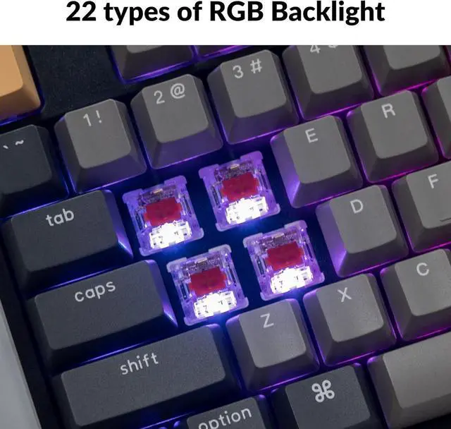 Alt view image 4 of 7 - Keychron C2 Pro Wired Custom Mechanical Keyboard Full Size Layout QMK/VIA Programmable Macro RGB Backlit with Hot-Swappable Keychron K Pro Red Switch OEM Profile PBT Keycaps for Mac Windows Linux