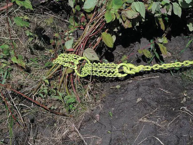 Alt view image 8 of 14 - BRUSH GRUBBER BG-16 Shrub/Clump Grubber
