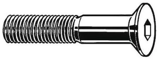 Main image of ZORO SELECT L51060.040.0014 M4-0.70 Socket Head Cap Screw, Plain Stainless