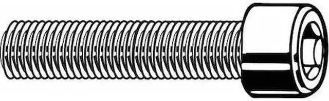 Main image of ZORO SELECT U51050.025.0050 1/4"-20 Socket Head Cap Screw, Socket, Plain 18-8