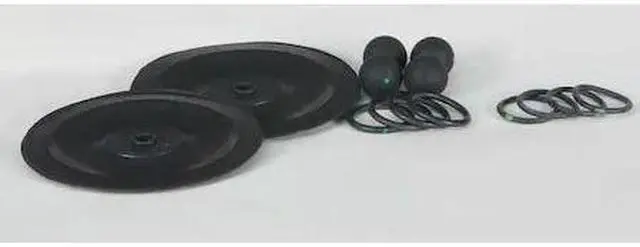 Main image of DAYTON 22A611 Pump Repair Kit,Santoprene,Fluid,1/2 In