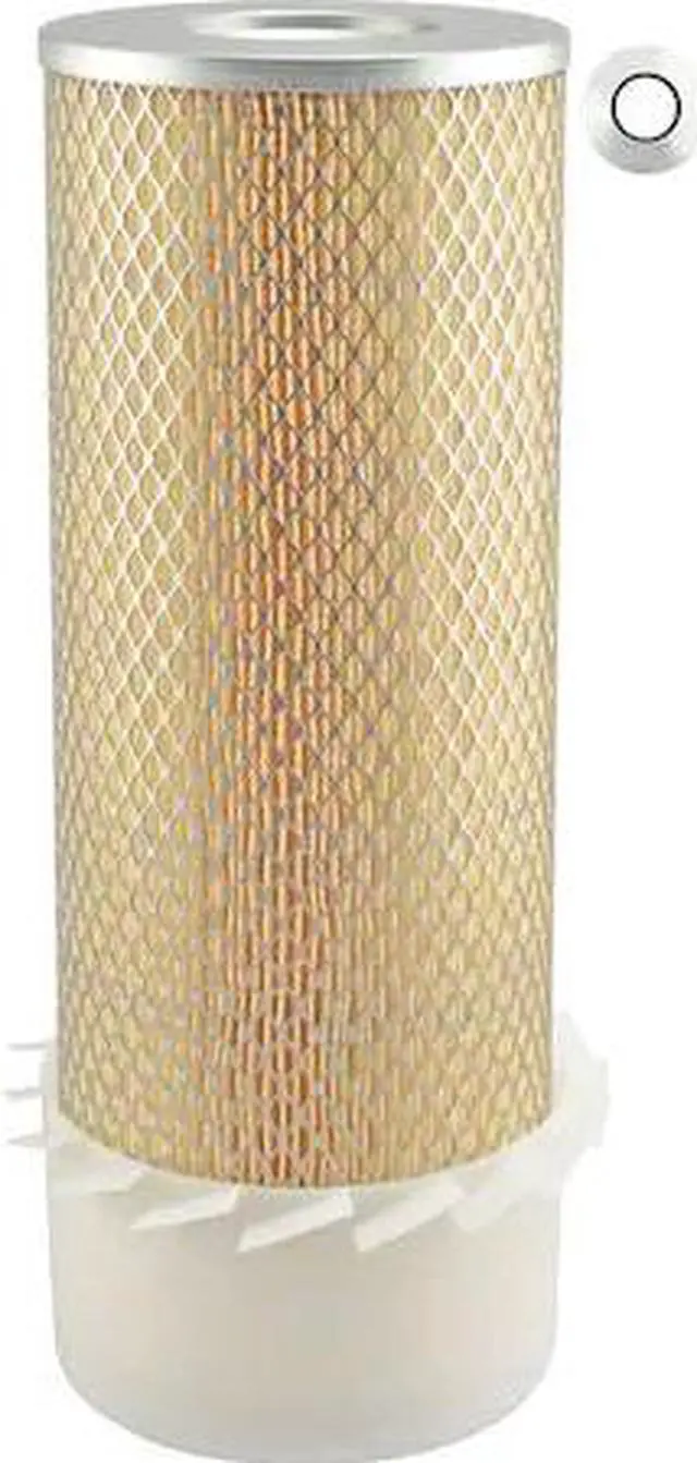 Main image of BALDWIN FILTERS PA2541-FN Air Filter,5-1/4 x 15-15/32 in.