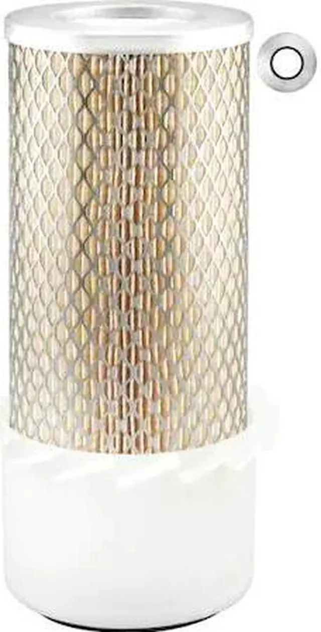 Main image of BALDWIN FILTERS PA4604-FN Air Filter,4-3/32 x 10-3/8 in.