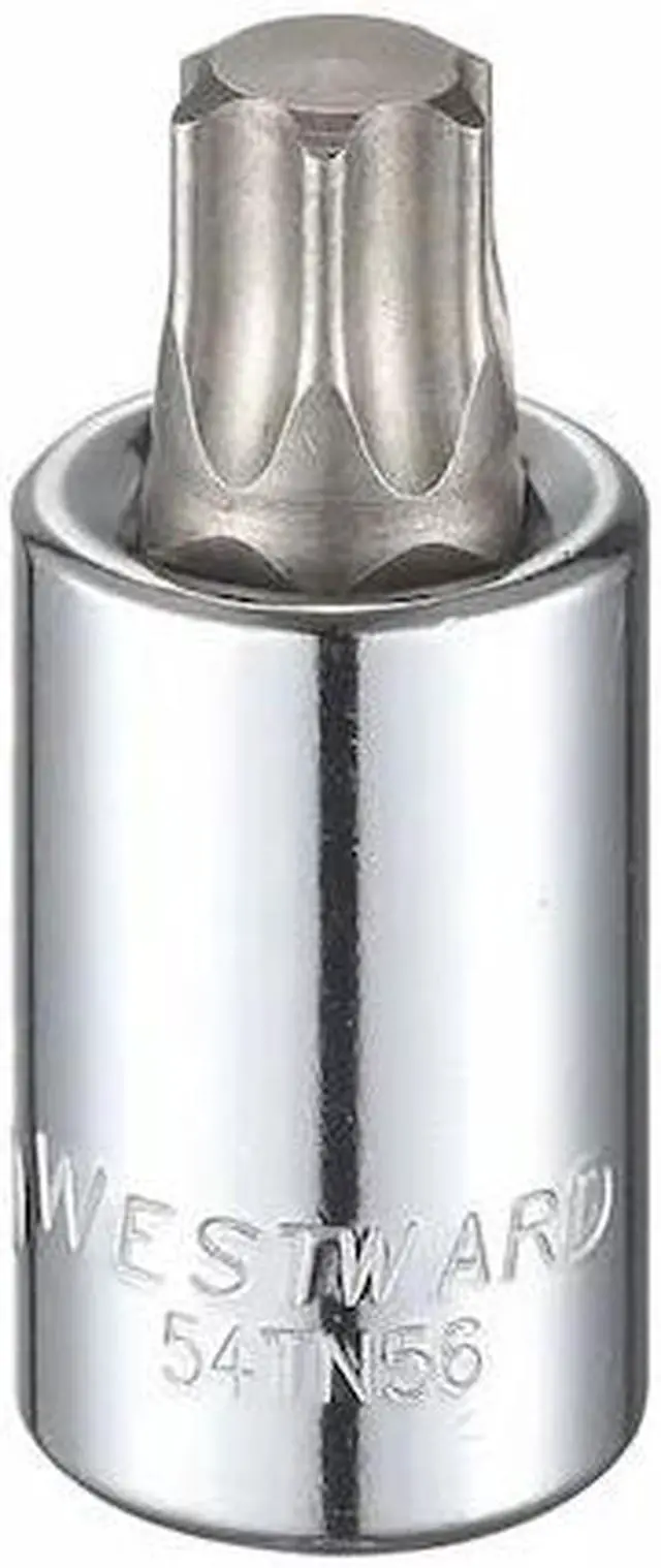 Main image of WESTWARD 54TN56 1/2 in Drive Torx(R) Socket Bit SAE T60 Tip, 2 1/2 in L
