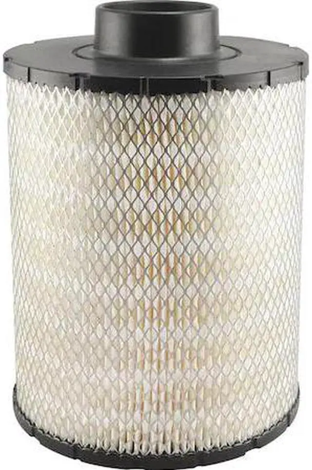 Main image of BALDWIN FILTERS PA2815 Air Filter,8-1/2 x 12-3/8 in.