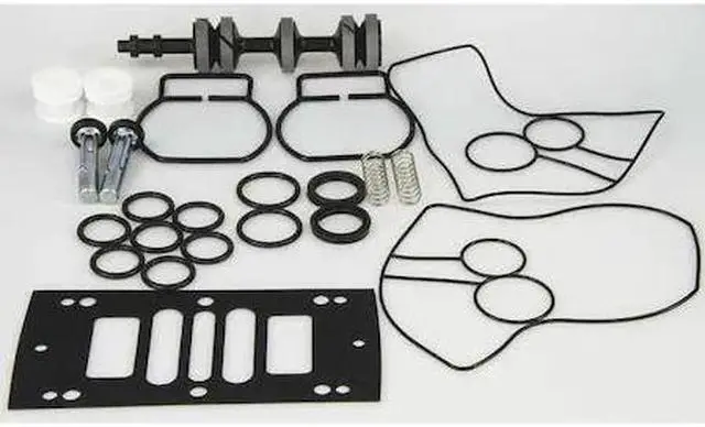 Main image of DAYTON 22A618 Pump Repair Kit,Buna N,Air,1 In.
