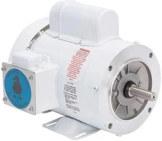 Main image of LEESON 112526.00 Washdown Motor,1/3 HP,10-3/8 in. L,CWSE