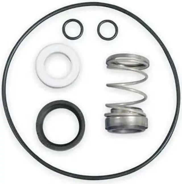 Main image of DAYTON 26KJ17 O Ring Kit,T31 Mech Seal